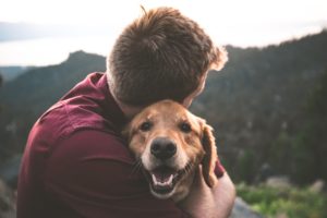 How Does a Pet Trust Work?